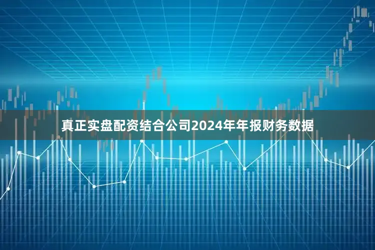 真正实盘配资结合公司2024年年报财务数据