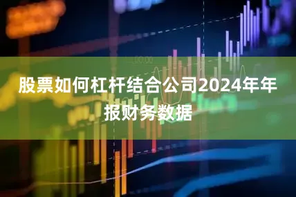 股票如何杠杆结合公司2024年年报财务数据