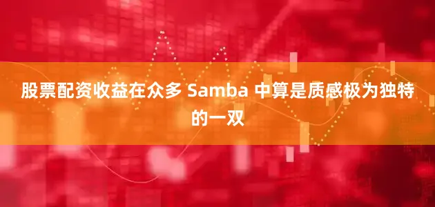 股票配资收益在众多 Samba 中算是质感极为独特的一双